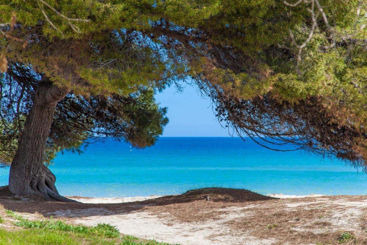 Violeta De Mar Villa Playa de Muro  Kültér fotó